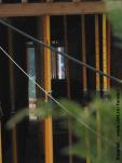 Imagine atasata: Openville - 2016.03.02 - 39.jpg